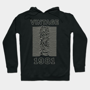 Vintage 1981 - Unknown Pleasures Hoodie